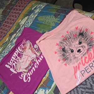 Ladies size Xl tshirts set of 2